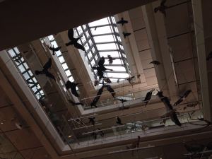 IMG-20160506-WA0022
