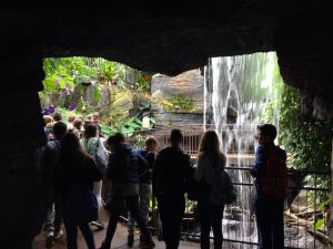 IMG-20160506-WA0024