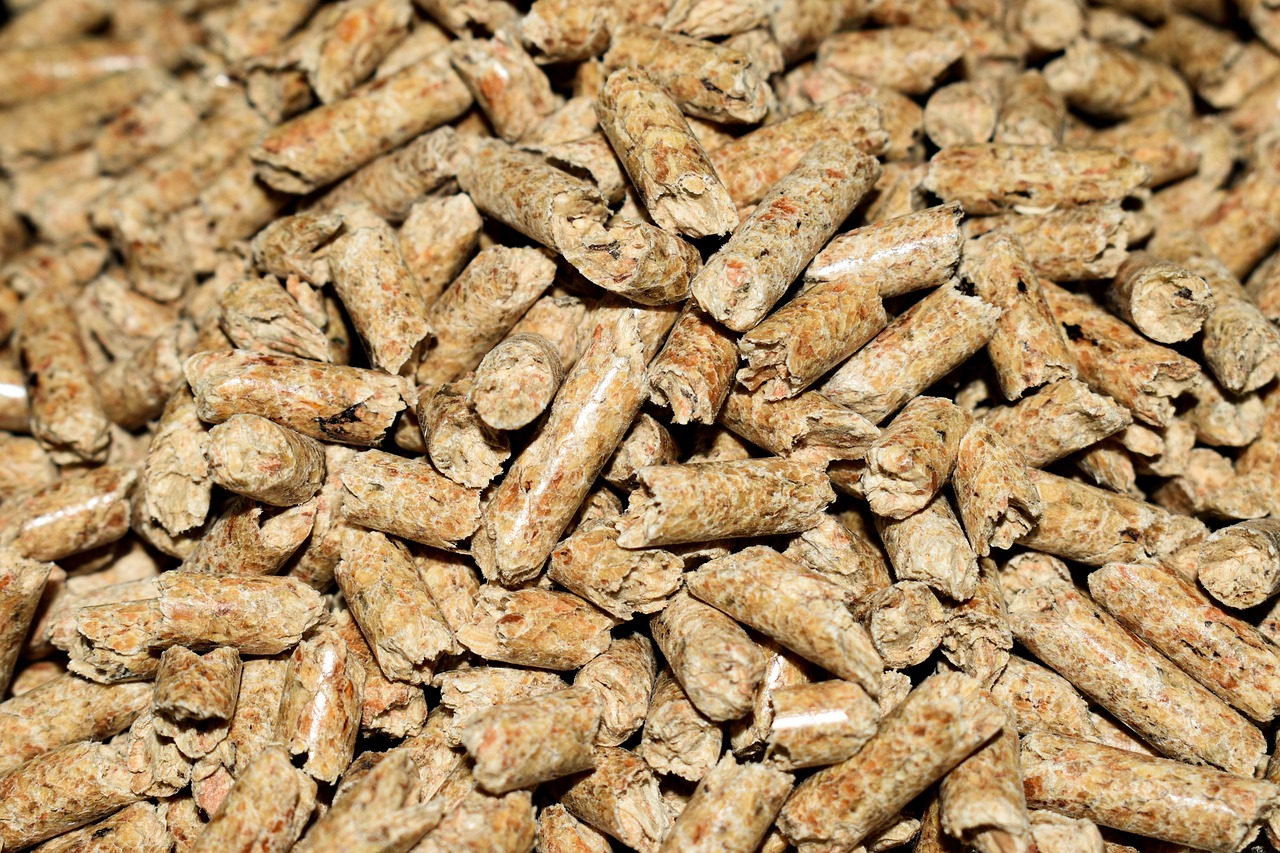 Immagine di un sacco di pellet con etichetta "IVA 10% - Bonus Pellet per l'inverno".