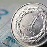 Grafico che mostra l'aumento degli importi della pensione di cittadinanza e requisiti aggiornati.